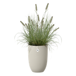 sereh haut 30cm mushroom beige